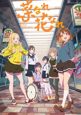 大连seo软件哪个好用